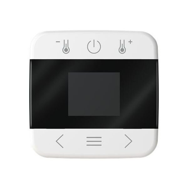 BUSCH-JAEGER Zentralscheibe 1794 MDRT-214 mit Display Bluetooth