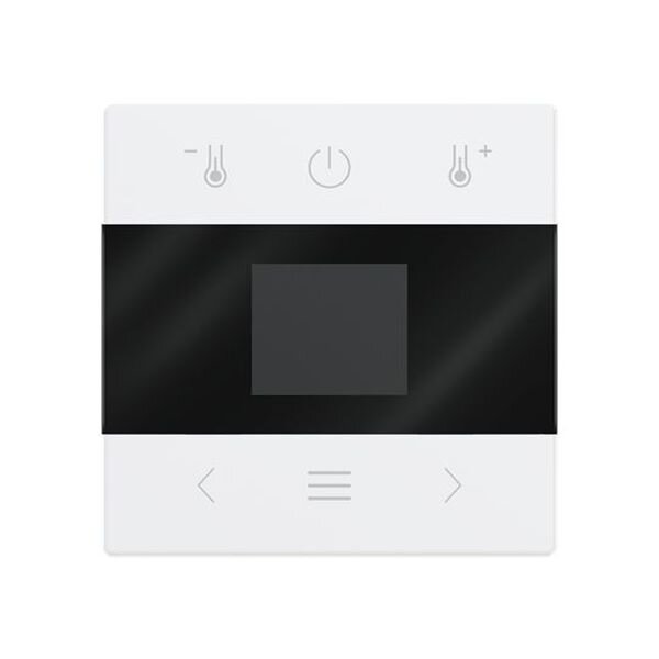 BUSCH-JAEGER Zentralscheibe 1794 MDRT-84 mit Display Bluetooth