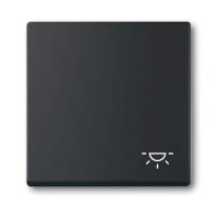 BUSCH-JAEGER Wippe 2520 LI-885 Symbol Licht schwarz matt