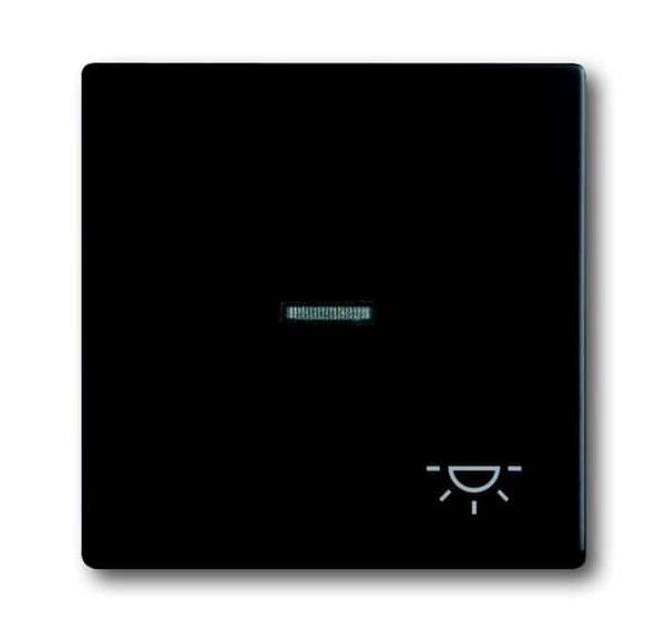 BUSCH-JAEGER Wippe 1789 LI-885 Symbol Licht schwarz matt