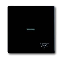 BUSCH-JAEGER Wippe 1789 LI-885 Symbol Licht schwarz matt