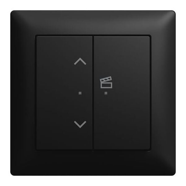 BUSCH-JAEGER Jalousieeinsatz-Set 62731/UJ-915-WL schwarz matt