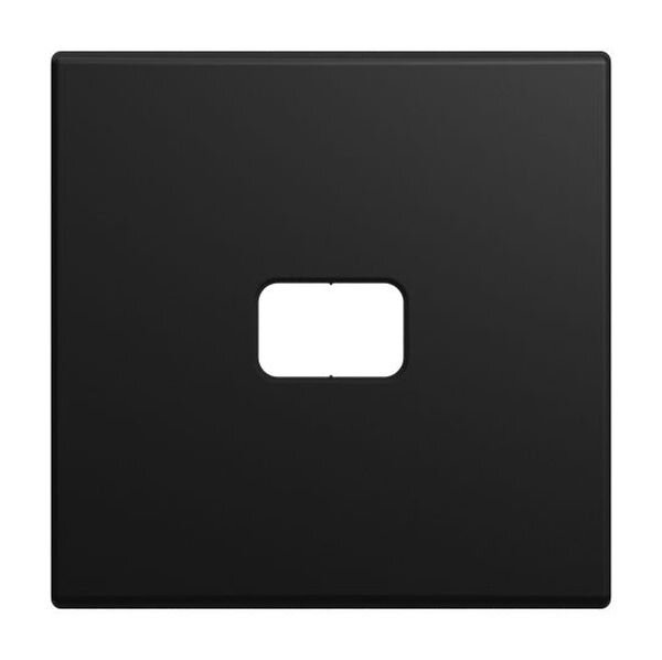 BUSCH-JAEGER Wippe 2520-915 offen f. Symbol schwarz matt