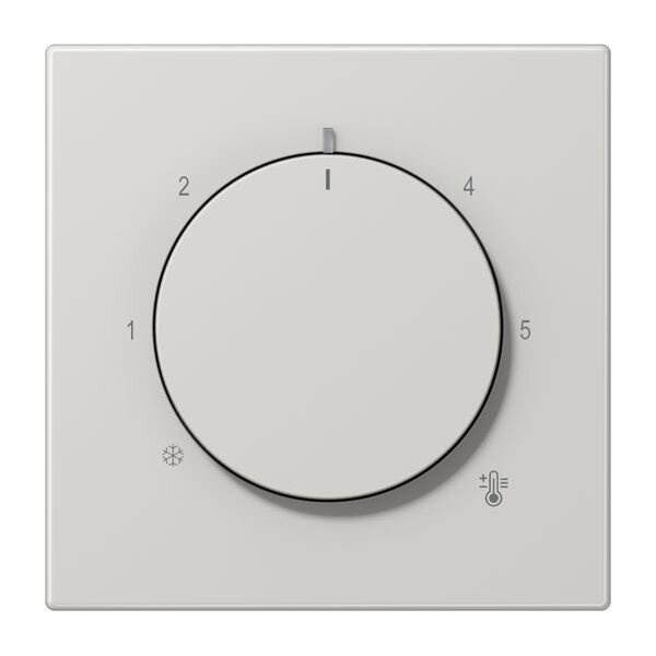 JUNG Abdeckung LS1749BFLG f.Thermostat