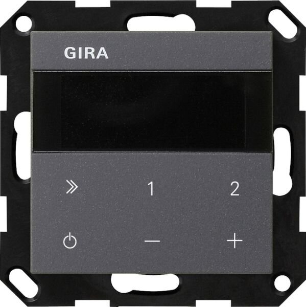 GIRA UP-Radio 232028 IP System 55 anthra
