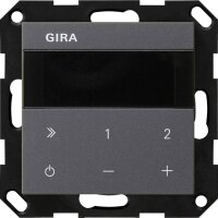 GIRA UP-Radio 232028 IP System 55 anthra