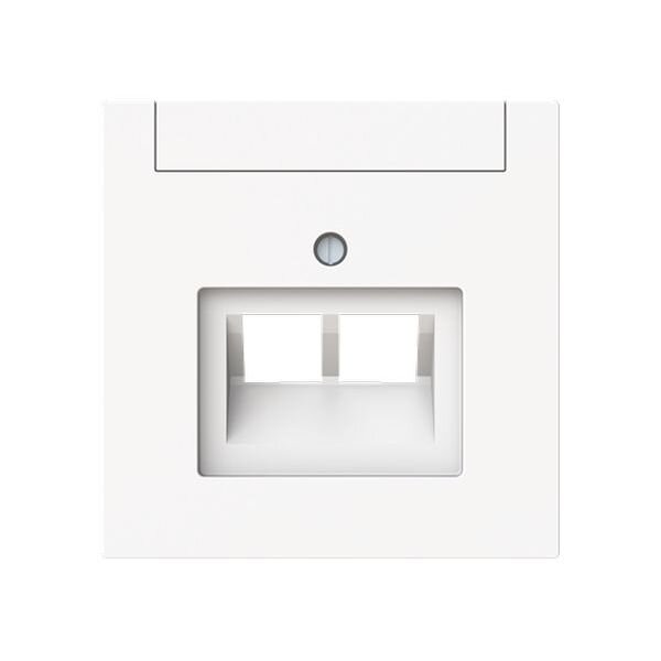 BUSCH-JAEGER Zentralscheibe 1803-02-44M 2-f.UAE m.Beschriftungsfeld