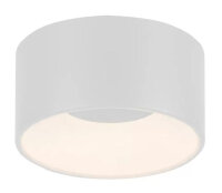 DIRE LED-Deckenleuchte LB25 TANIKA ws 13W 1500lm 3000K dim