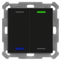 MDT Taster KNX Light 55 2fach RGBW sw matt Neutral