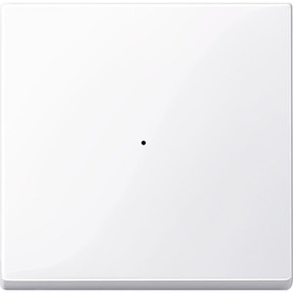 MERTEN Wippe 619125 Tastermodul 1f. aktivwei&szlig; gl. M