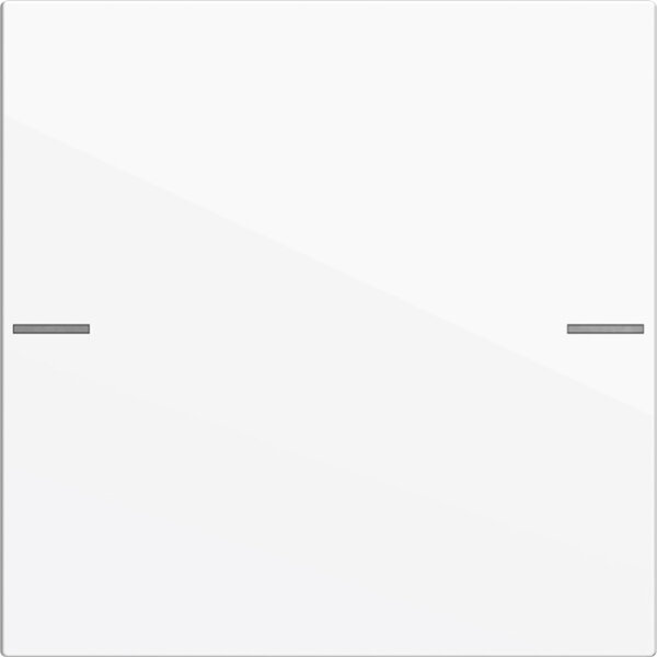GIRA Wippenset 575103 1f Tastsens.4 System 55 rws