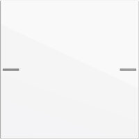 GIRA Wippenset 575103 1f Tastsens.4 System 55 rws