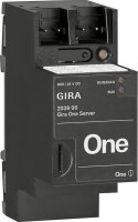 GIRA Server 203900 One