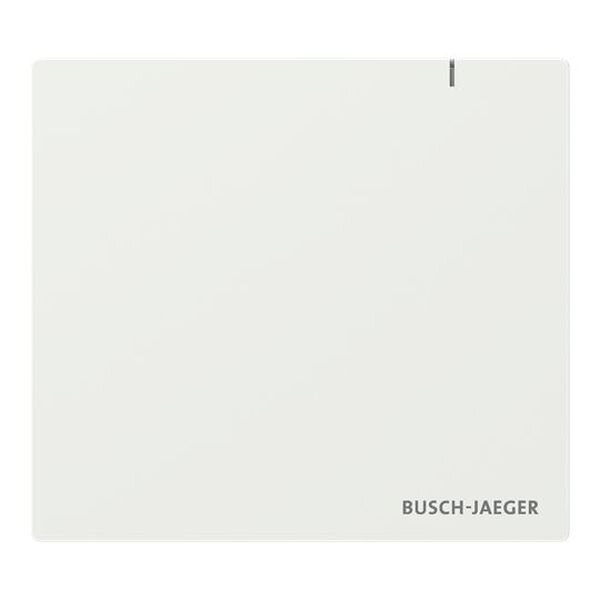 BUSCH-JAEGER Access Point SAP.13 3.0