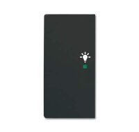 BUSCH-JAEGER Wippe 6231-21-885 2fach Licht schwarz matt