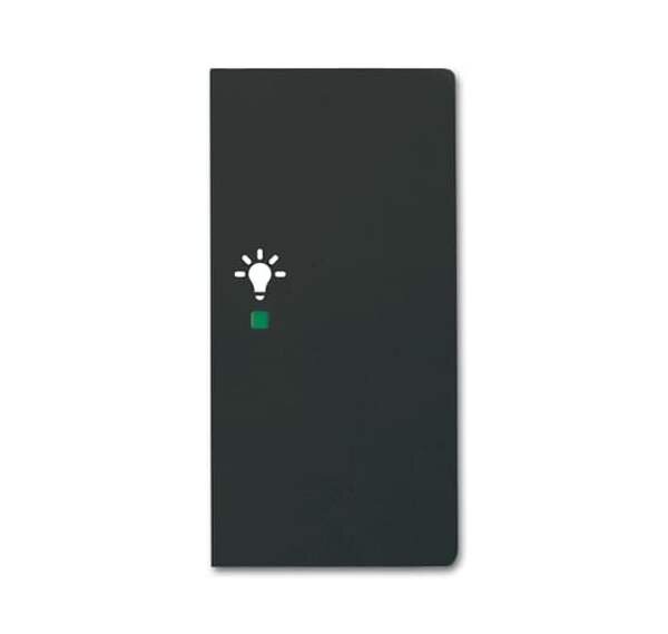 BUSCH-JAEGER Wippe 6231-22-885 2fach Licht schwarz matt