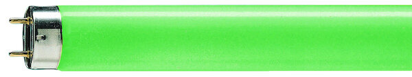 PHILIPS Leuchtstofflampe TL-D Colored 18W Green 1SL/25